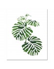 Dekoracyjne plakaty ścienne przedstawiające tropikalne liście ozdobne monstery skandynawski styl do salonu