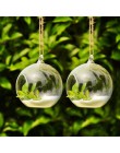 Terrarium Ball Globe kształt jasne szklana wisząca wazon kwiat rośliny pojemnik Ornament Micro krajobraz DIY ślubny wystrój domu