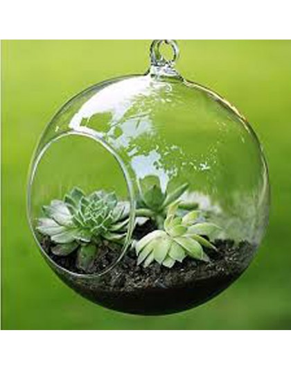 Terrarium Ball Globe kształt jasne szklana wisząca wazon kwiat rośliny Terrarium pojemnik Micro krajobraz DIY ślubny wystrój dom