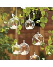 Terrarium Ball Globe kształt jasne szklana wisząca wazon kwiat rośliny Terrarium pojemnik Micro krajobraz DIY ślubny wystrój dom