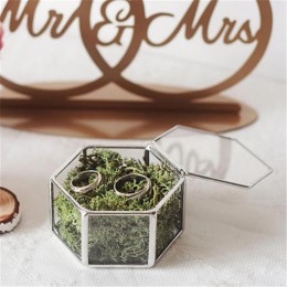 Mini Hexagon geometryczny ślub pierścień Box pudełko na okaziciela Tabletop soczyste rośliny sadzarka ślub dekoracji