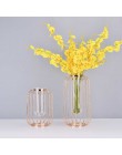 Nordic ins w kształcie latarni z kutego żelaza wazon szkło złoto galwanicznie żelaza kwiat wazon blat wazon doniczka domu ślub d