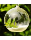 8 sztuk kulki jasne szklana wisząca na całym świecie kształt wazon kwiat rośliny Terrarium wazon pojemnik Micro krajobraz