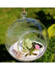 8 sztuk kulki jasne szklana wisząca na całym świecie kształt wazon kwiat rośliny Terrarium wazon pojemnik Micro krajobraz