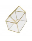 MagiDeal różnych nieregularne szklane geometryczne doniczka na sukulenty wazon Terrarium pojemnik blat doniczka DIY Home Office 