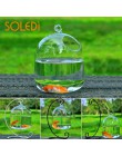 Kreatywne akwarium szklany wazon akwarium wiszący wazon dekoracja akwarium bez półki