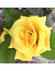 250 cm/partia jedwabne róże stroik z bluszczu z zielonymi liśćmi do dekoracji ślubnej domu fałszywe liści diy wiszące Garland sz