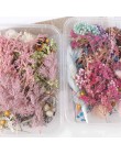 Suszone kwiaty w pudełku suche aromaterapia rośliny świeca