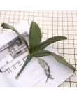 1 sztuk Phalaenopsis liści sztucznych liści roślin dekoracyjne kwiaty pomocnicze materiał dekoracja kwiatowa liście orchidei pra