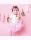 Słodki Różowy My Little Girl Pierwsza 1st Birthday Party Dress Tutu Ciasto Smash Stroje Sukienka dla Niemowląt Baby Girl Chrzest
