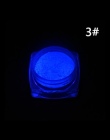 1 Box Neon Proszek Luminoforu Nail Glitter Powder 10 Kolory pył Pigmentu Świetlna Fluorescencyjne Proszek Paznokci Błyszczy Glow