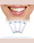 4 sztuk/partia Elektryczne Szczoteczki Do Zębów Heads Szczoteczki do Zębów Wymiana Zębów Szczotki szczotki Stomatologiczne Głowy