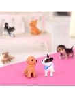 6 sztuk/partia symulacji kot i pies Dollhouse Miniaturowy Model Doll House Dekoracji Prezent Lalki Akcesoria 1:12 skala