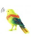Sterowanie głosem Muzyki Zabawki Ptaka Symulacji Śliczny Śpiewać Piosenkę Ptak zabawki Lalki 2017 Śmieszne Elektroniczne Zwierzą