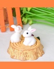 10 sztuk Modelu Budynku Miniaturowe Mini Rabbit Żywicy Ogród Bajki Ornament Kwiat Roślin Doniczkowych Zwierząt ToysFL