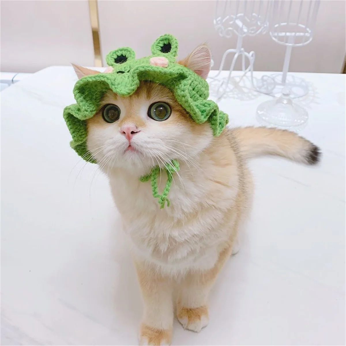 Czapeczka dla psa lub kota na drutach cosplay party Zielony