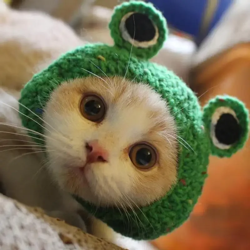 Dzianinowa czapka dla kota i psa na imprezę i cosplay Czarny