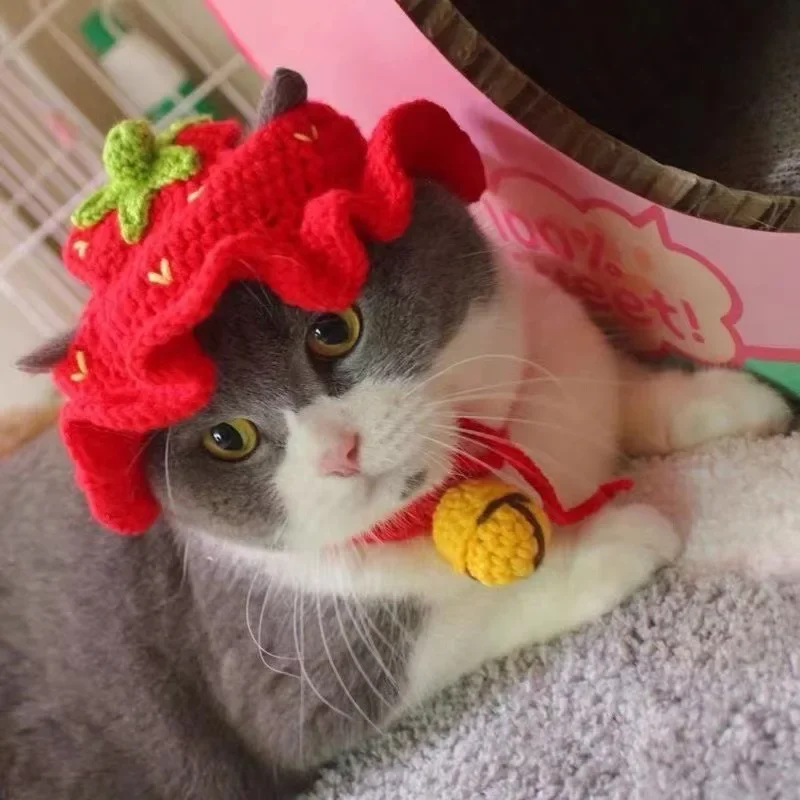 Dzianinowa czapka dla kota i psa na imprezę i cosplay Granatowy