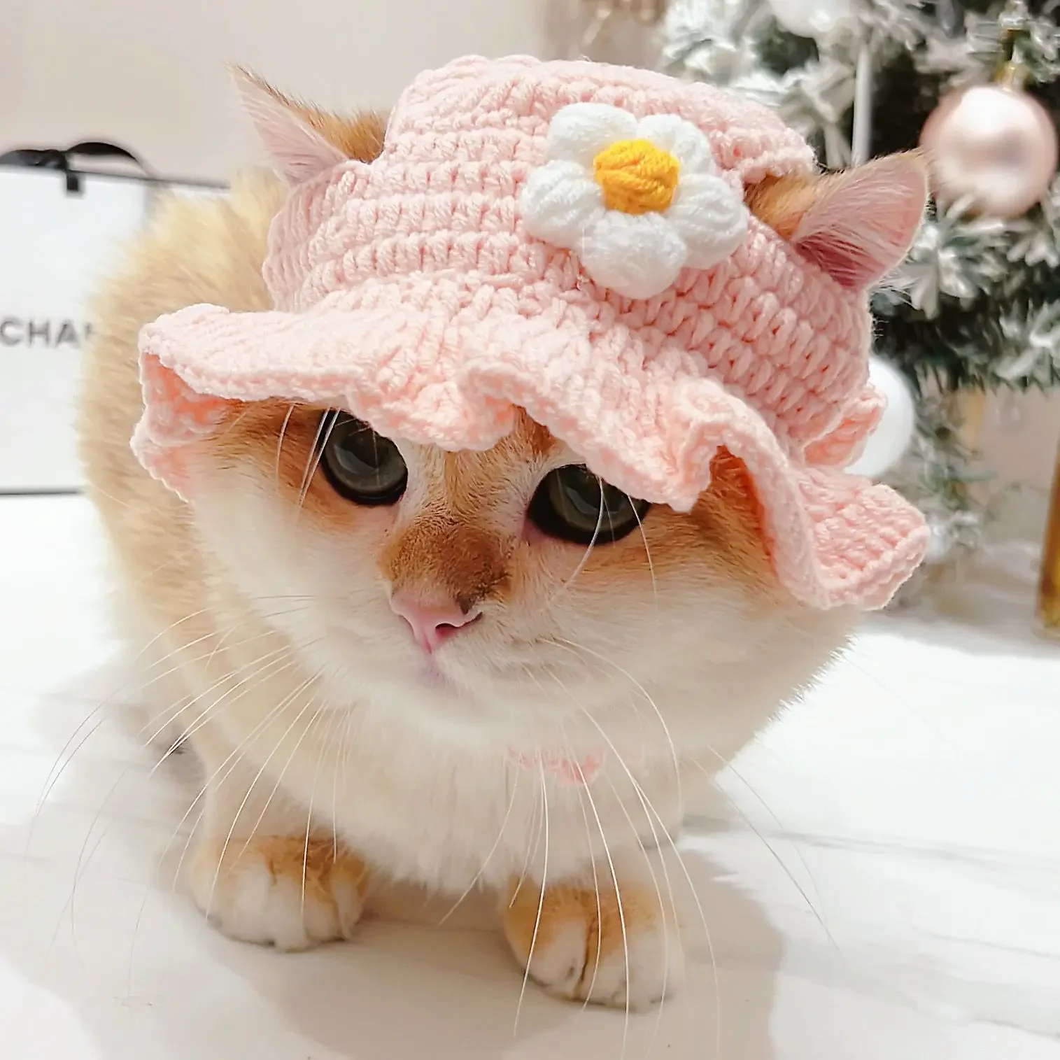 Dzianinowa czapka dla kota i psa na imprezę i cosplay Szary
