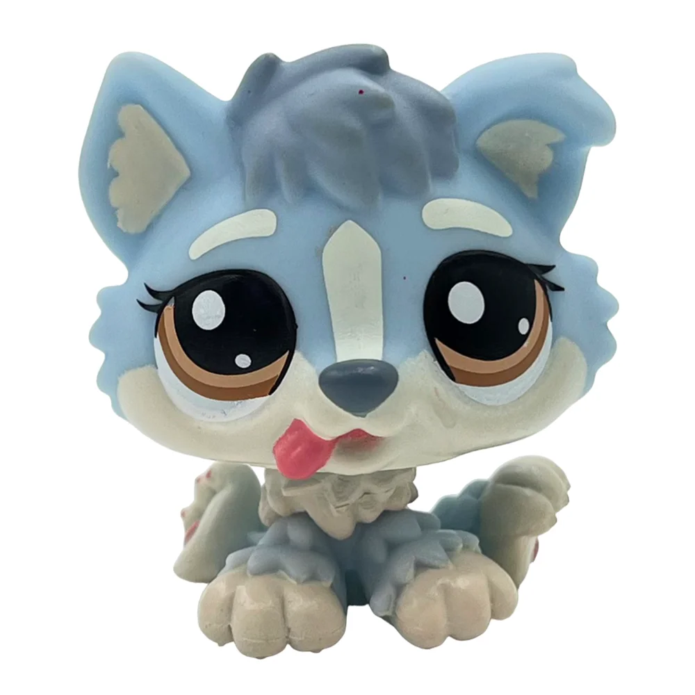 Kolekcjonerska figurka psa i kota bobble head z ruchomą głową Szampan