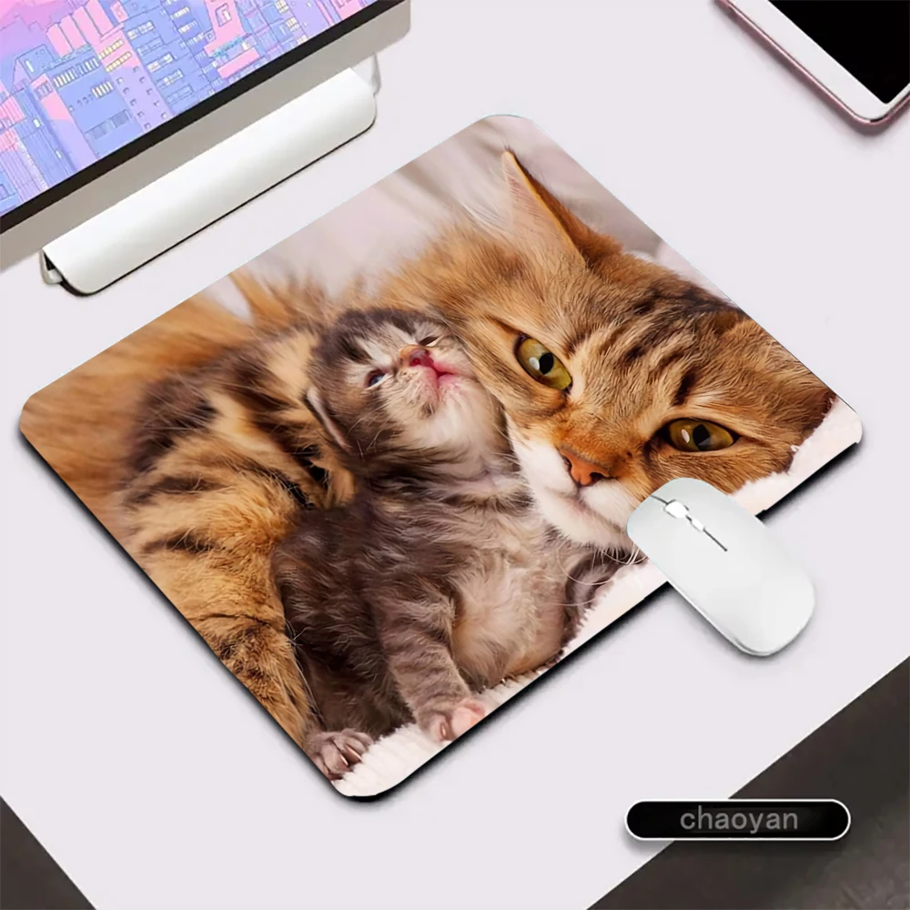 Podkładka pod mysz z kotem Starry Cat Królewski niebieski