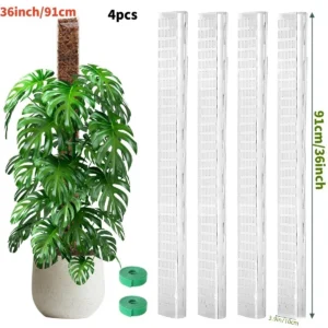 Słupek z mchu do roślin pnących Monstera - podpora Beżowy