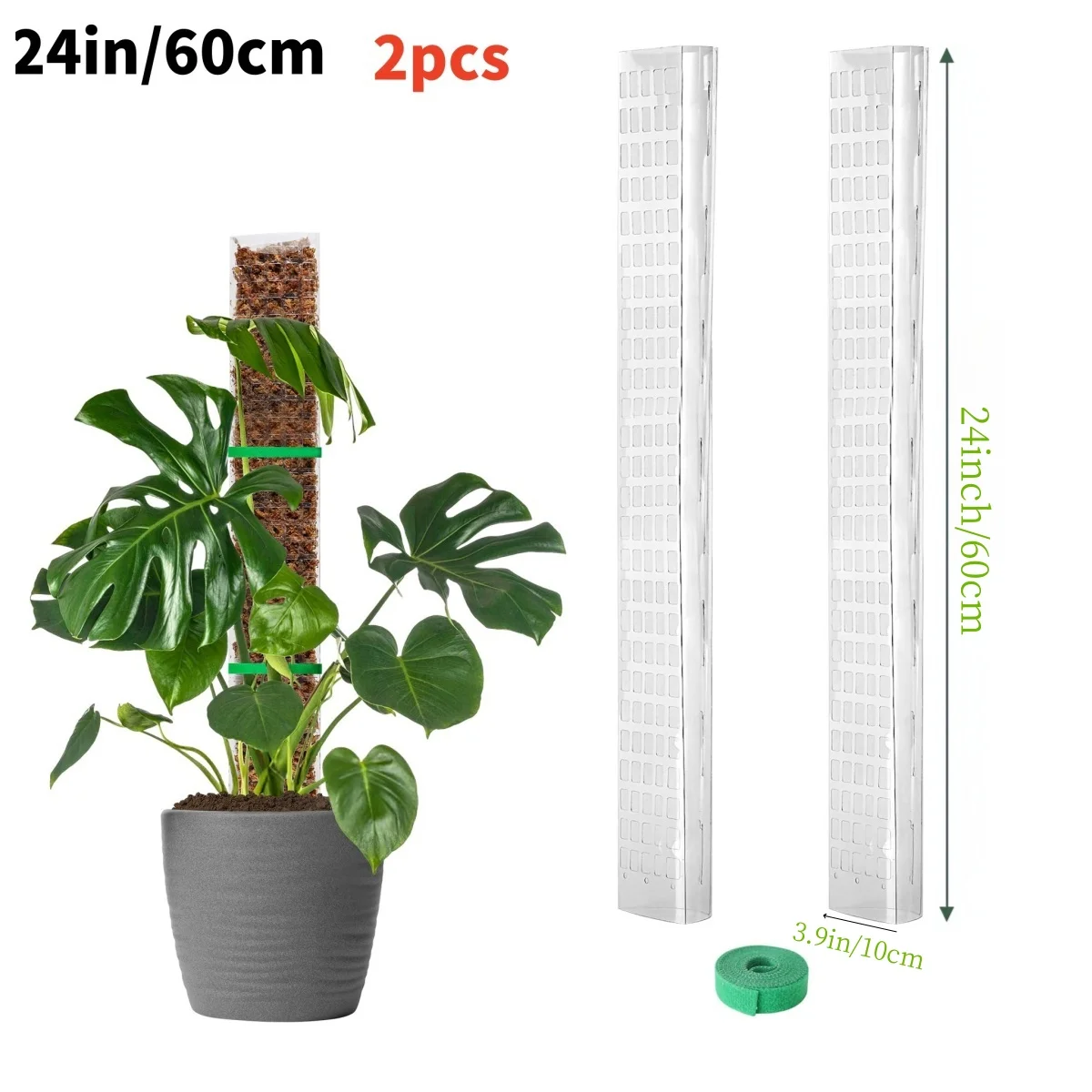 Słupek z mchu do roślin pnących Monstera - podpora Czerwony