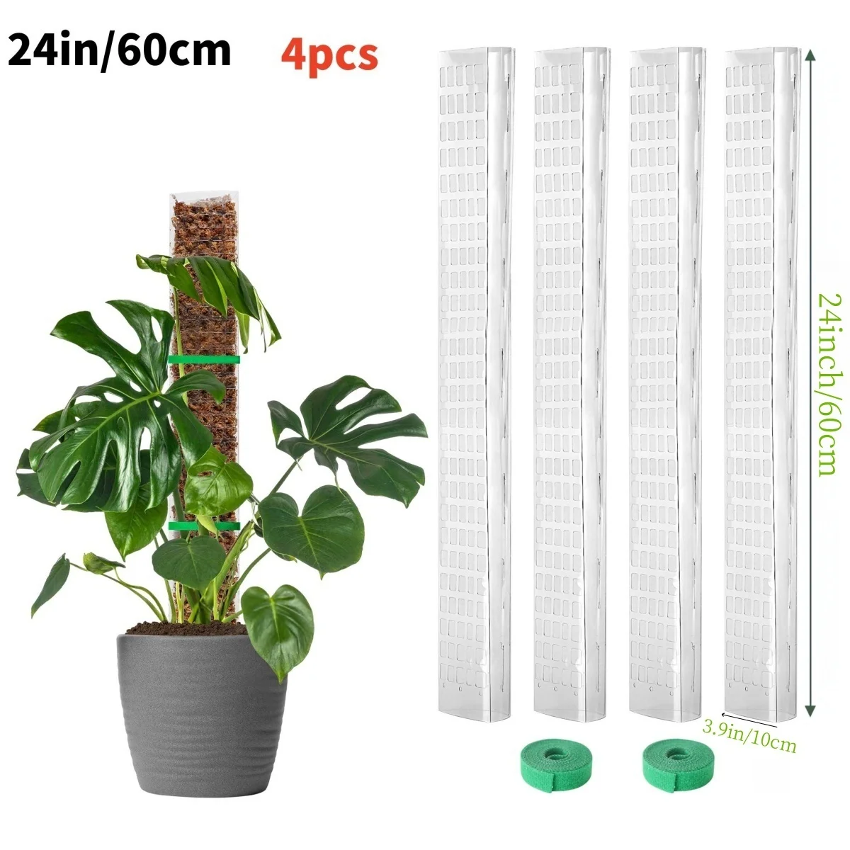 Słupek z mchu do roślin pnących Monstera - podpora Niebieski