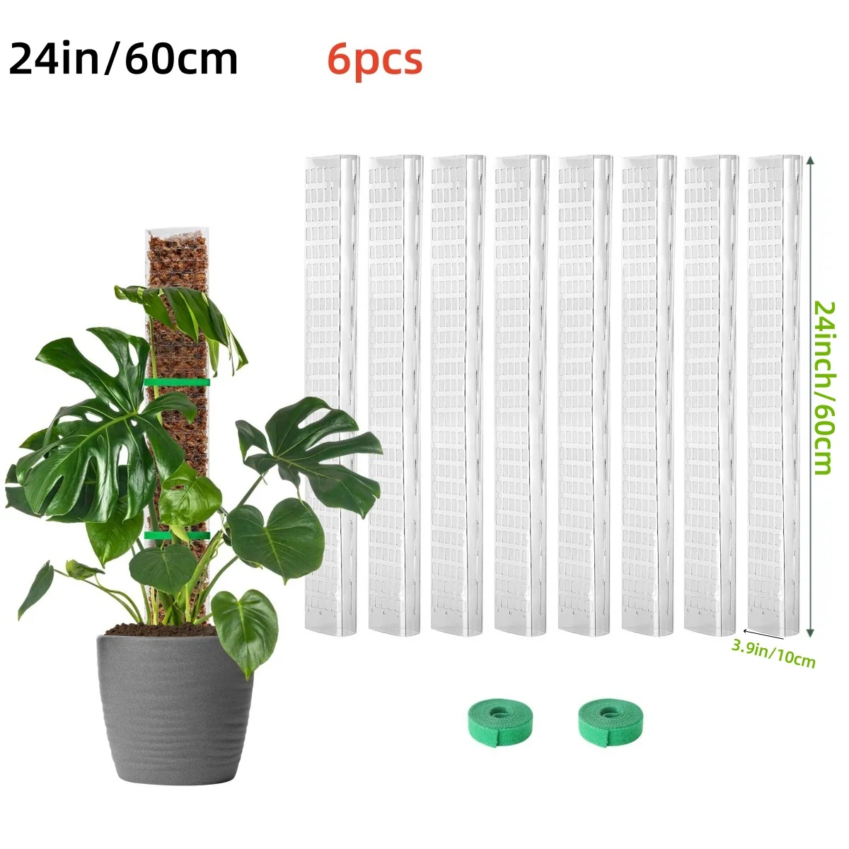 Słupek z mchu do roślin pnących Monstera - podpora Srebrny